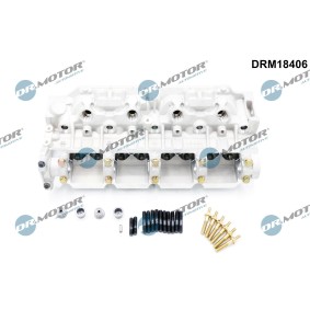 Zylinderkopf DRM18406