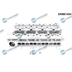 Zylinderkopf DRM61404 für FIAT