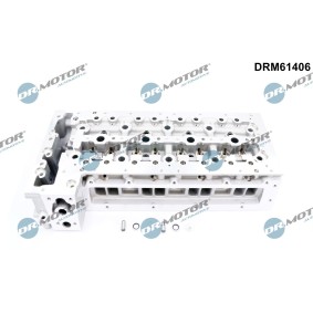 Zylinderkopf von DR.MOTOR AUTOMOTIVE für Daily V Bus günstig online kaufen