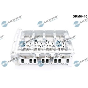 Zylinderkopf DRM6410 für FIAT
