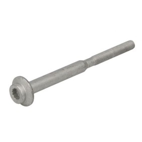 Schraube, Einspritzdüsenhalter ENT250797