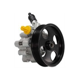 Acquista Pompa idraulica, sterzo da STARQ SQ924-21127 a buon mercato per soli 114,88 €