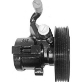 Servopumpe SQ924-21128 für CHEVROLET