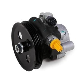 Achetez des Pompe de direction assistée STARQ SQ924-21131 à prix pour 176,03 €