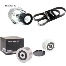 Acquista Kit Cinghie Poly-V da RIDEX 542R1368 a buon mercato per soli 79,77 €