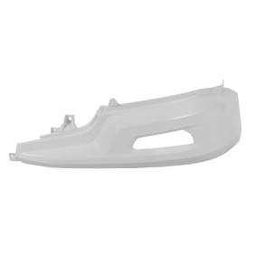 Acquista Mostrina, Paraurti da COS.PEL 404.10791 a buon mercato per soli 68,82 €