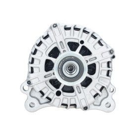 Lichtmaschine von BV PSH