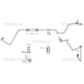 Servoleitung von TRISCAN