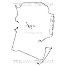Servoleitung für VOLVO von TRISCAN