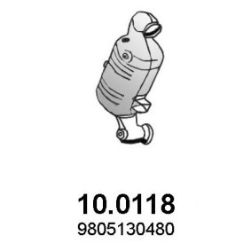 Katalysator 10.0118