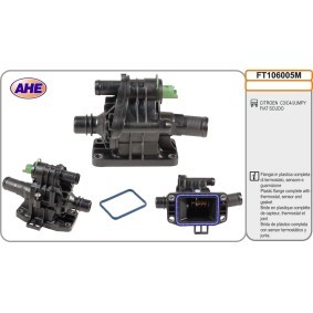 Compre Flange do líquido de refrigeração da AHE FT106005M a um preço baixo por 55,73 €