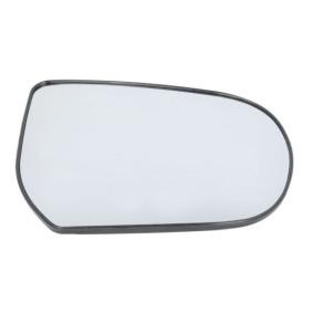 Spiegelglas, Außenspiegel 6102-02-1221521P