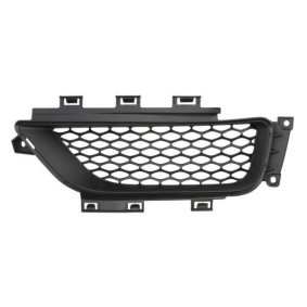 Acquista Griglia paraurti da BLIC 6502-07-0939929P a buon mercato per soli 20,41 €