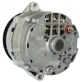 Lichtmaschine F032110471