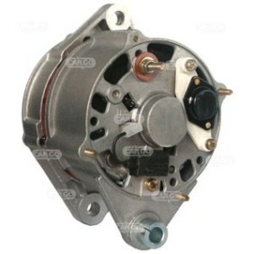 Lichtmaschine F032113187