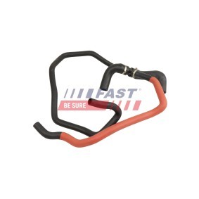 Acquista Manicotto radiatore da FAST online per Cinquecento Van / Hatchback (170) a prezzi moderati