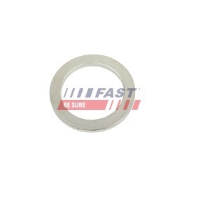 Dichtring, Achsschenkel FT10602