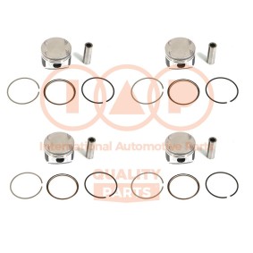 Compre Êmbolo da IAP QUALITY PARTS 100-25030 a um preço baixo por 426,69 €
