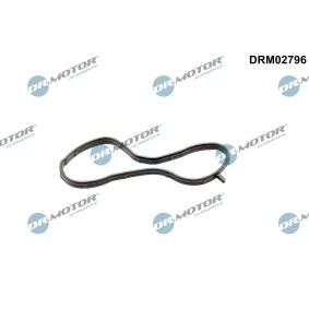 Dichtung, Kühlmittelflansch DRM02796