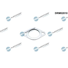 Dichtung, Leitung AGR-Ventil DRM02810
