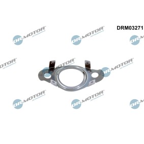 Dichtung, Leitung AGR-Ventil für VOLVO von DR.MOTOR AUTOMOTIVE