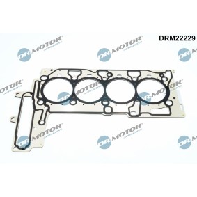 Acquista Guarnizione testata da DR.MOTOR AUTOMOTIVE DRM22229 a buon mercato per soli 84,48 €