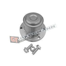 Radlagersatz GT24-217