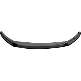 Spoilerlippe FS01.074