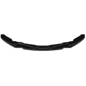 Spoilerlippe FS01.094