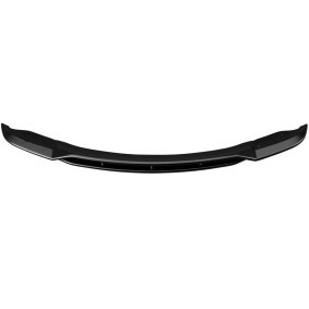 Spoilerlippe FS01.100