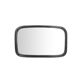 Acquista Specchietto retrovisore esterno da RYWAL LR0240E24V a buon mercato per soli 15,98 €