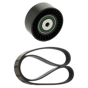 Comprar Juego de correas trapeciales poli V de RIDEX PLUS 542R1120P a bajo precio de 32,75 €