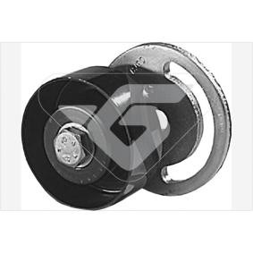 Comprar Polea inversión / guía, correa poli V de HUTCHINSON T6023 a bajo precio de 128,85 €