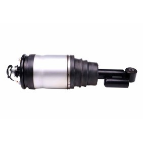 Acquista Ammortizzatore pneumatico da HELLA 8QA 358 254-051 a buon mercato per soli 463,69 €