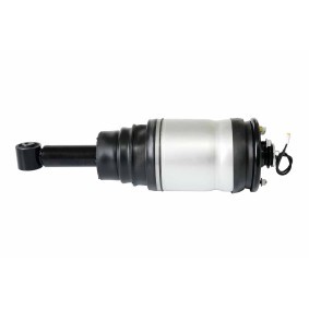 Acquista Ammortizzatore pneumatico da HELLA 8QA 358 254-061 a buon mercato per soli 463,69 €