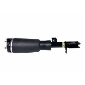 Acquista Ammortizzatore pneumatico da HELLA 8QA 358 254-071 a buon mercato per soli 336,00 €