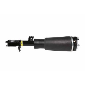 Acquista Ammortizzatore pneumatico da HELLA 8QA 358 254-081 a buon mercato per soli 336,00 €