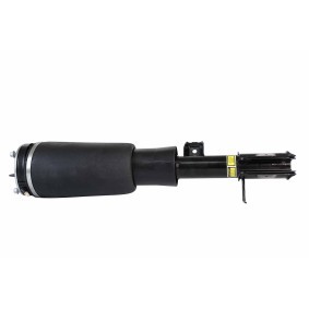 Acquista Ammortizzatore pneumatico da HELLA 8QA 358 254-101 a buon mercato per soli 434,54 €
