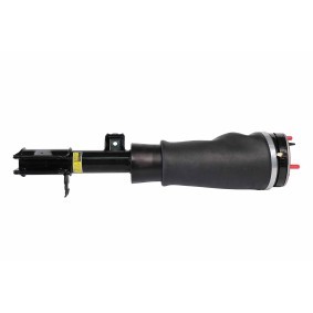 Acquista Ammortizzatore pneumatico da HELLA 8QA 358 254-111 a buon mercato per soli 434,54 €