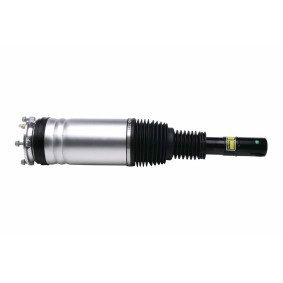 Acquista Ammortizzatore pneumatico da HELLA 8QA 358 254-141 a buon mercato per soli 404,76 €