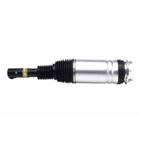 Acquista Ammortizzatore pneumatico da HELLA 8QA 358 254-151 a buon mercato per soli 404,76 €