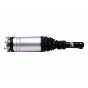 Acquista Ammortizzatore pneumatico da HELLA 8QA 358 254-181 a buon mercato per soli 361,46 €
