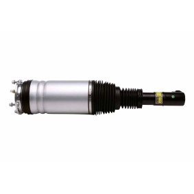 Acquista Ammortizzatore pneumatico da HELLA 8QA 358 254-191 a buon mercato per soli 364,57 €