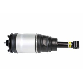 Acquista Ammortizzatore pneumatico da HELLA 8QA 358 254-211 a buon mercato per soli 342,91 €