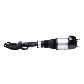 Acquista Ammortizzatore pneumatico da HELLA 8QA 358 254-271 a buon mercato per soli 384,08 €