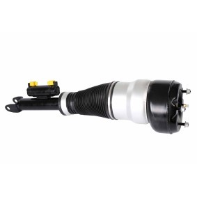 Acquista Ammortizzatore pneumatico da HELLA 8QA 358 254-381 a buon mercato per soli 534,13 €