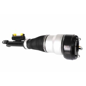 Acquista Ammortizzatore pneumatico da HELLA 8QA 358 254-391 a buon mercato per soli 534,13 €