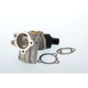 Comprar Válvula EGR de BorgWarner 710773D a bajo precio de 109,45 €