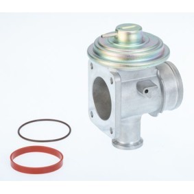 Acquista Valvola EGR da BorgWarner 710921D a buon mercato per soli 72,62 €