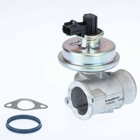 Comprar Válvula EGR de BorgWarner 710923D a bajo precio de 130,24 €